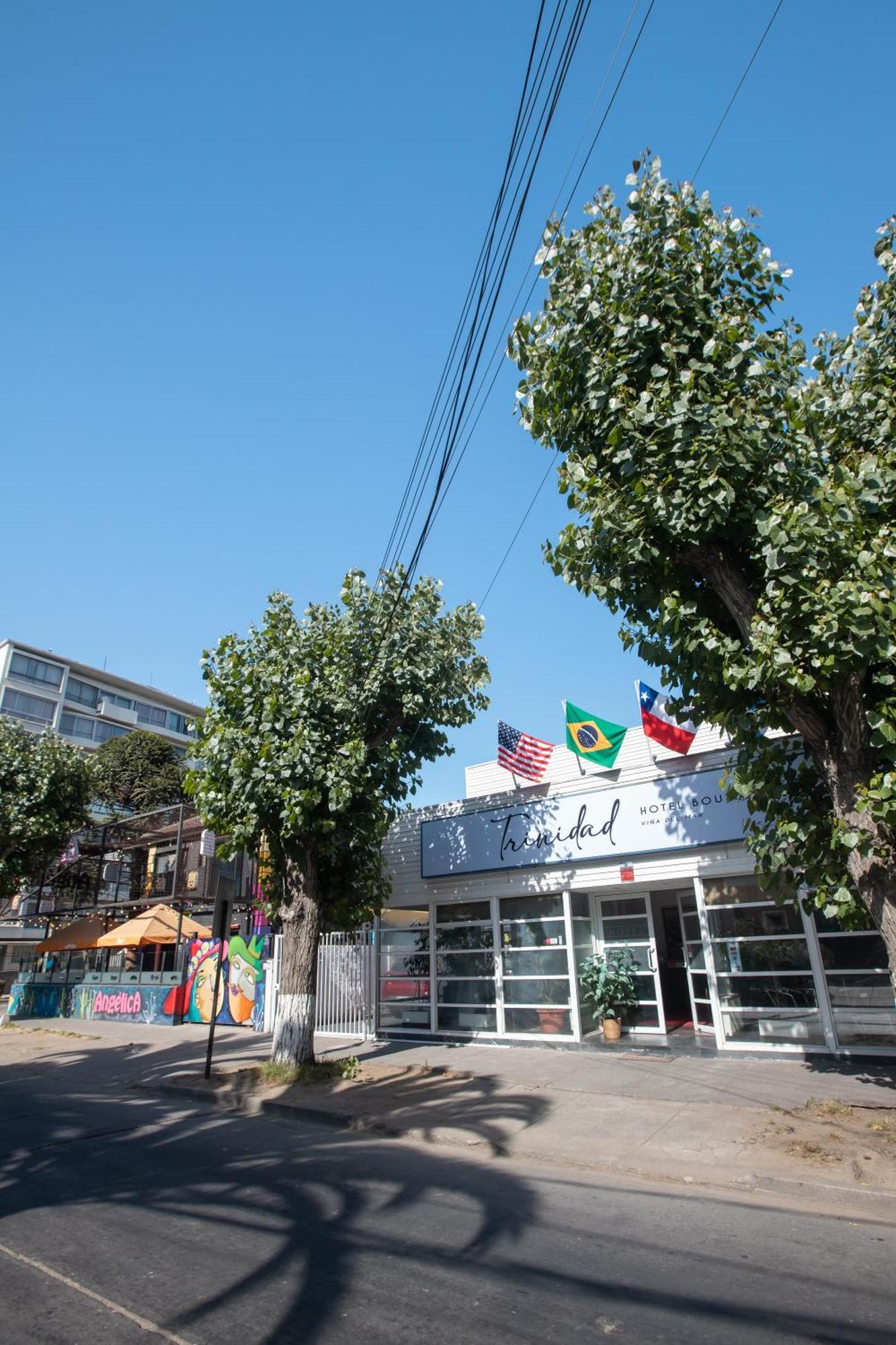 Hotel Boutique Trinidad Винья-дель-Мар Экстерьер фото